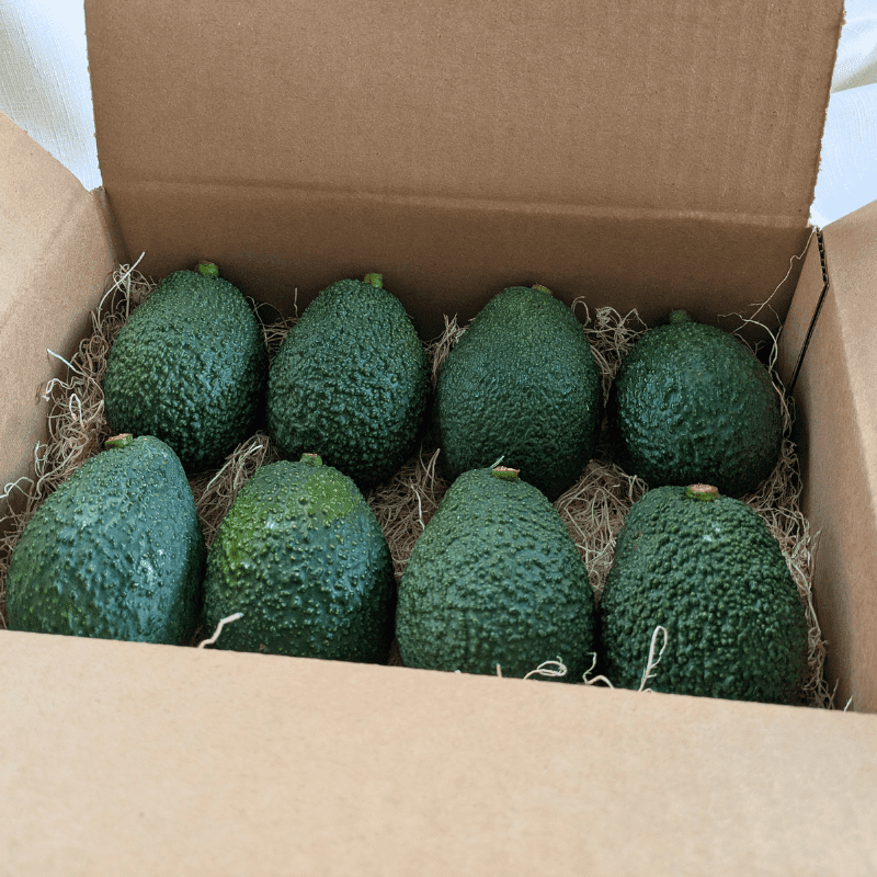 4lb Hass Avocado Box - Image 2