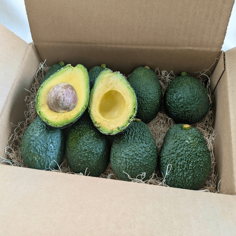 4lb Hass Avocado Box - Image 3